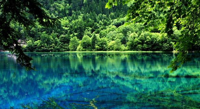 �����w���ԭ������������կ���S������������